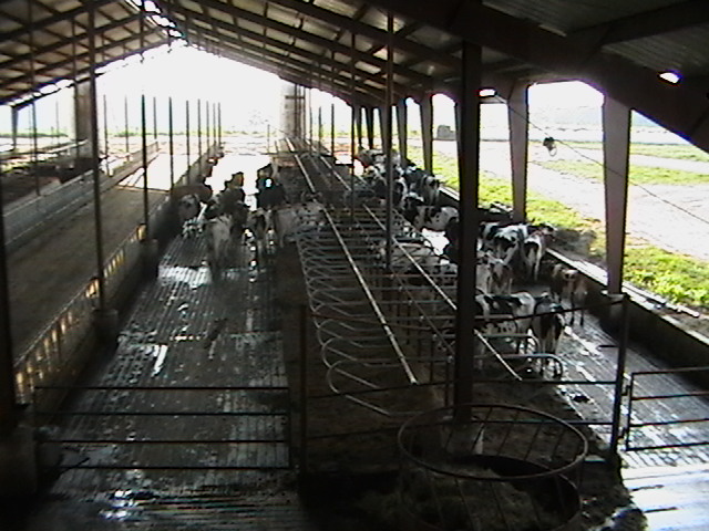 farmpicture002.jpg