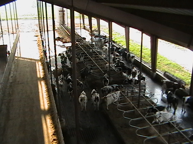 farmpicture003.jpg