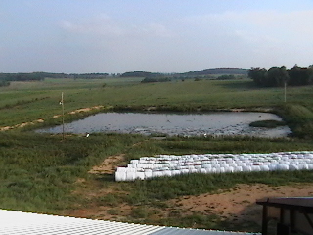 farmpicture004.jpg