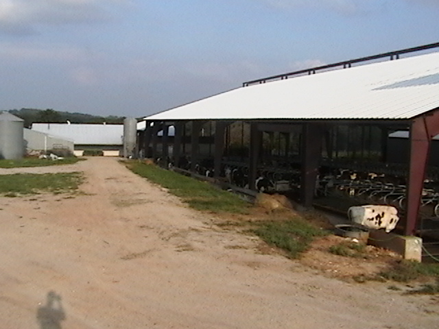 farmpicture011.jpg