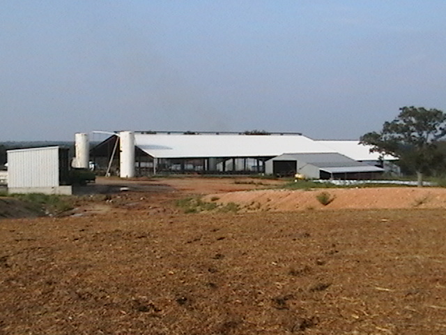 farmpicture012.jpg